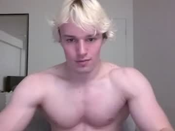 thelevimeyers