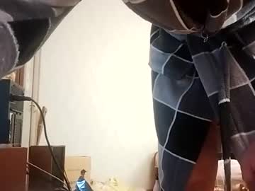 tiler_cat