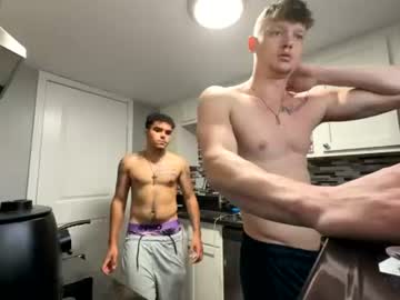 kingoftheknight